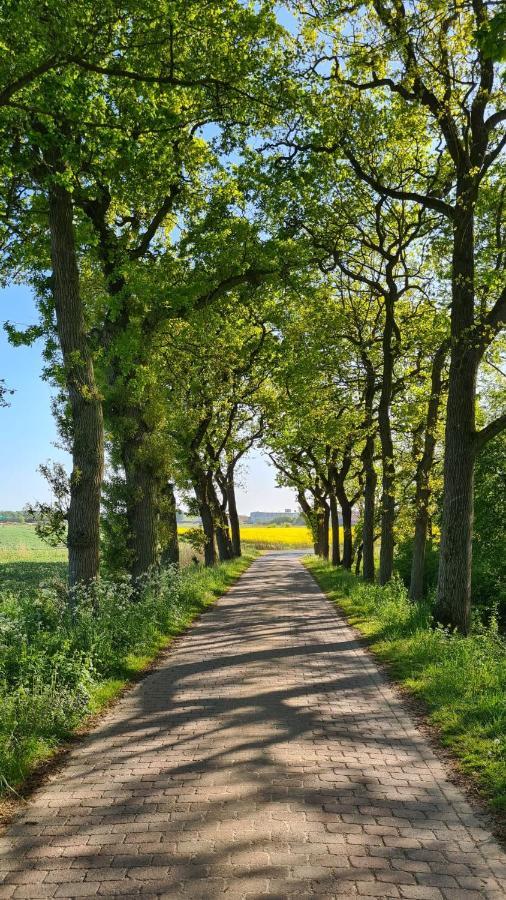 Ferienwohnung Baltrum Auf Dem Elisenhof Hagermarsch 外观 照片