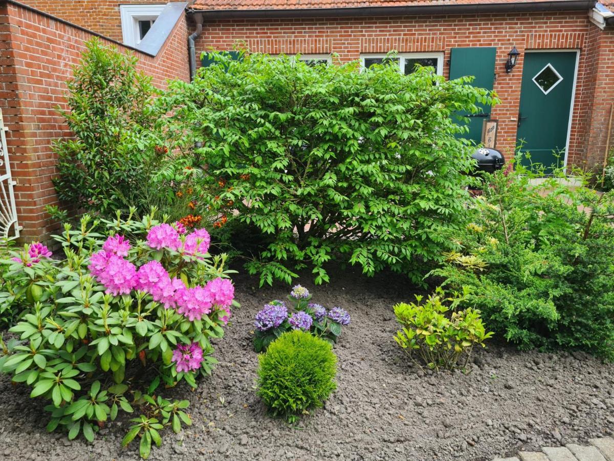 Ferienwohnung Baltrum Auf Dem Elisenhof Hagermarsch 外观 照片