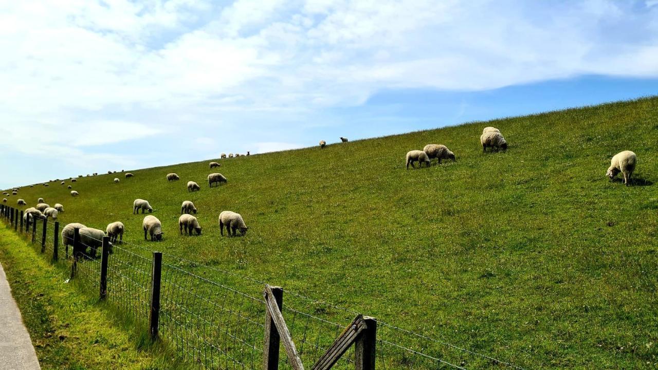 Ferienwohnung Baltrum Auf Dem Elisenhof Hagermarsch 外观 照片